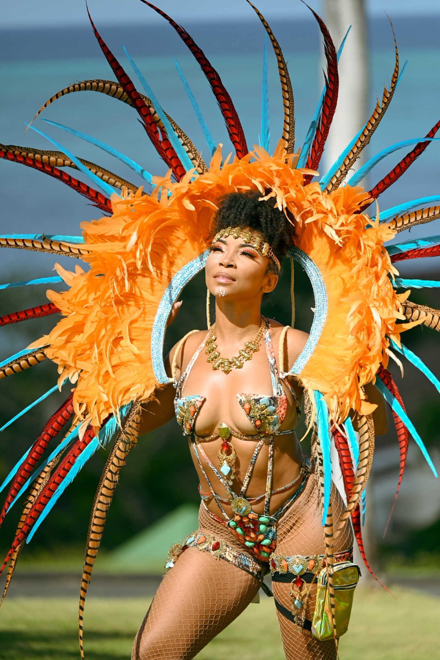MissCrazySexiCool in carnival style